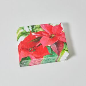 Blancheporte Súprava 20 papierových obrúskov s potlačou vianočnej hviezdy červená 20 ks